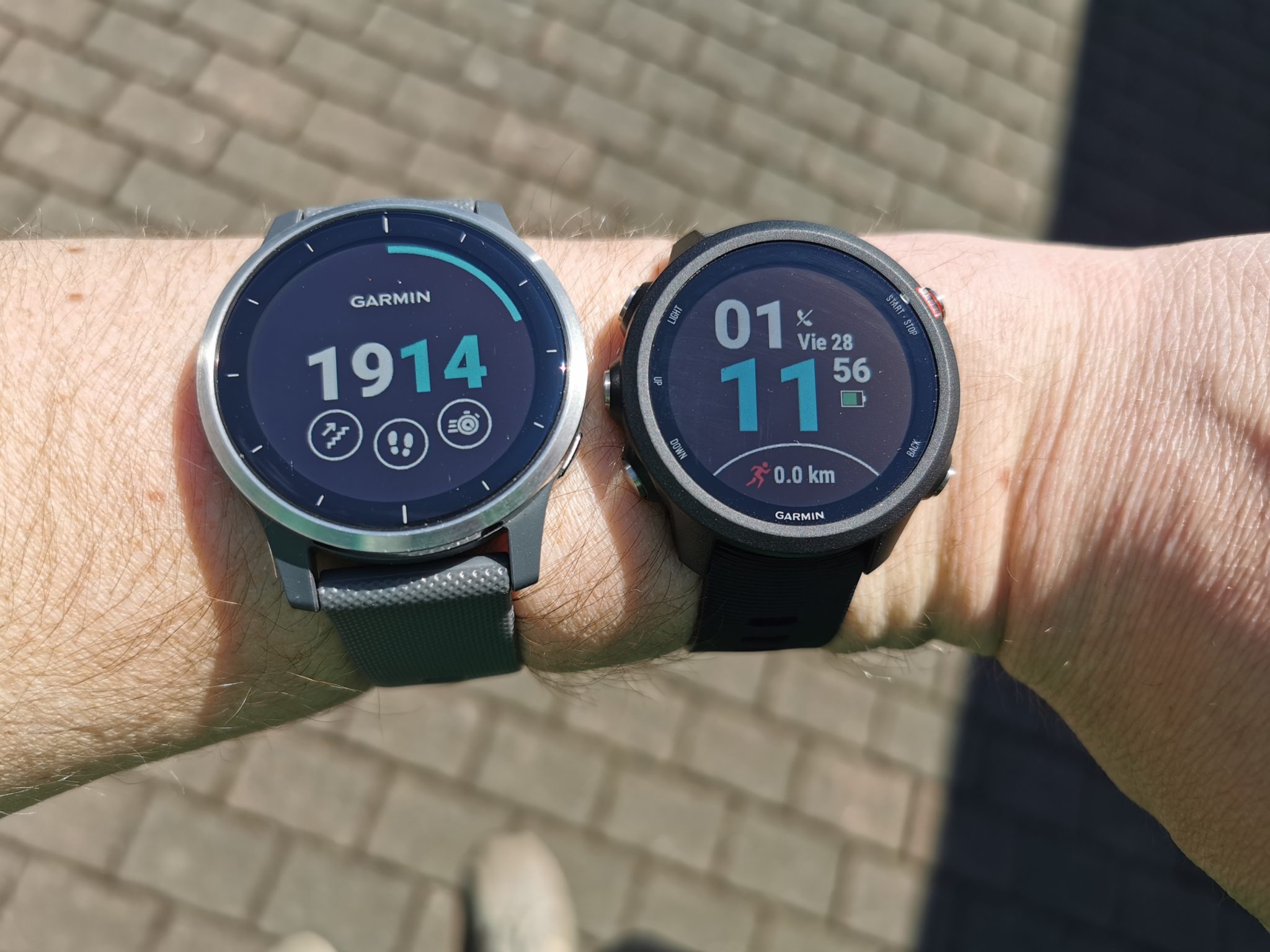 garmin vivoactive vs forerunner 35